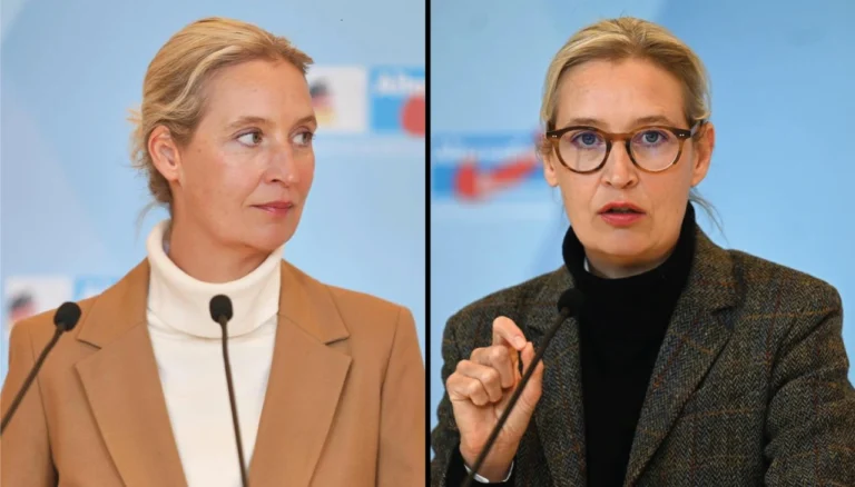 Alice Weidel Vermögen