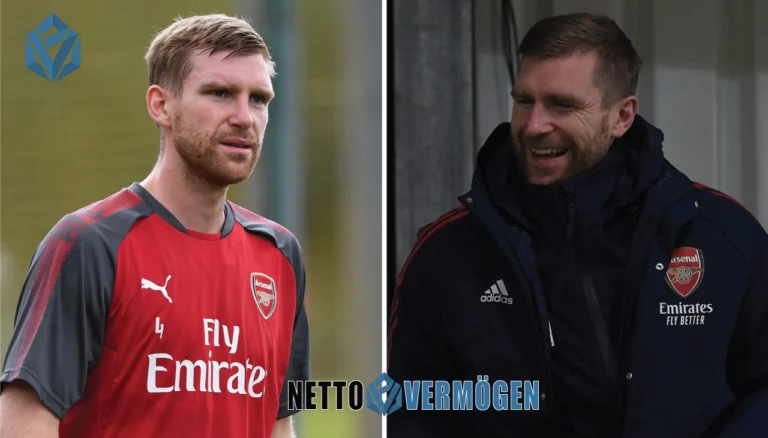 Per Mertesacker Vermögen